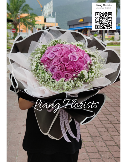 HB 310 (purple romance)